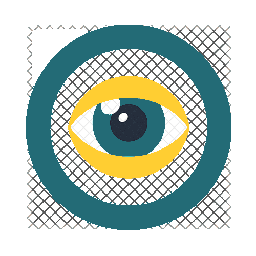 Our Vision
